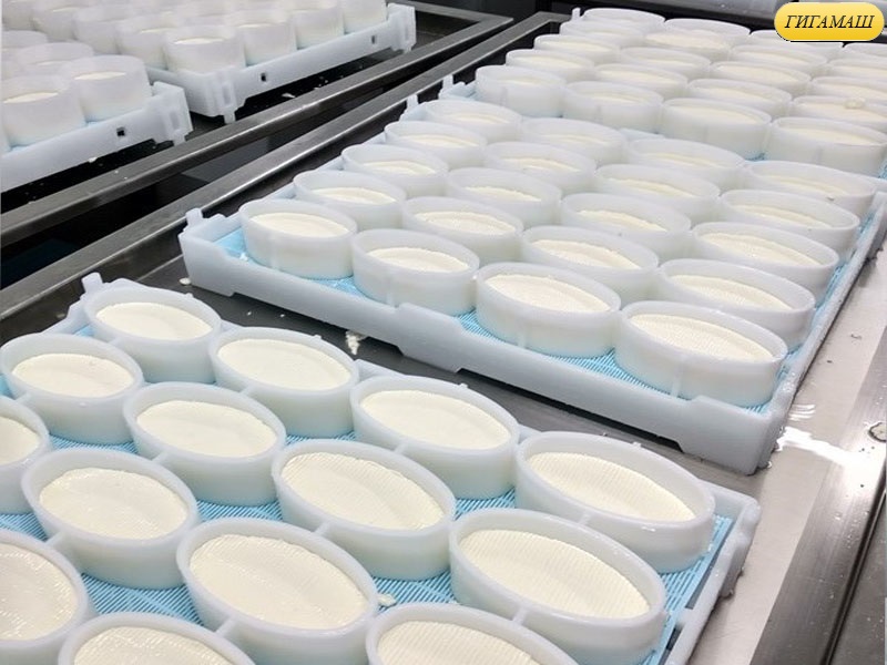 Оборудования для приемки, пастеризации молока и изготовления сыров